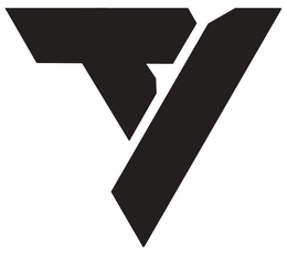 TY trademark