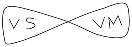 VSVM trademark