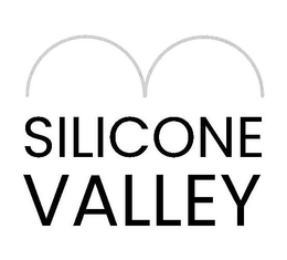 SILICONE VALLEY trademark