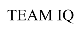 TEAM IQ trademark