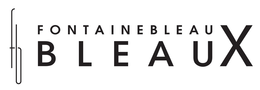 FB FONTAINEBLEAU BLEAU X trademark