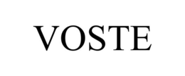 VOSTE trademark