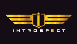INTROSPECT I trademark