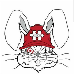 HIZION trademark