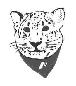 N trademark