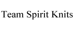 TEAM SPIRIT KNITS trademark