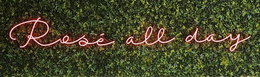 ROSE' ALL DAY trademark