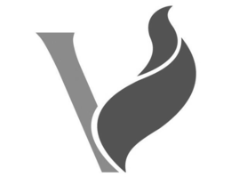 V trademark