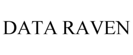 DATA RAVEN trademark