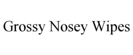 GROSSY NOSEY WIPES trademark