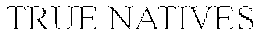 TRUE NATIVES trademark
