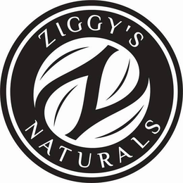ZIGGY'S NATURALS ZN trademark