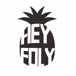 HEY FOLY trademark