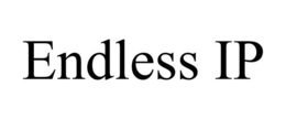 ENDLESS IP trademark