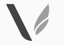 V trademark