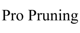 PRO PRUNING trademark