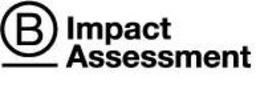 B IMPACT ASSESSMENT trademark