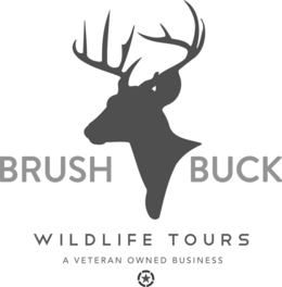 BRUSH BUCK WILDLIFE TOURS A VETERAN OWNED BUSINESS trademark