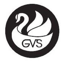 GVS trademark