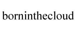 BORNINTHECLOUD trademark