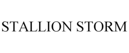 STALLION STORM trademark