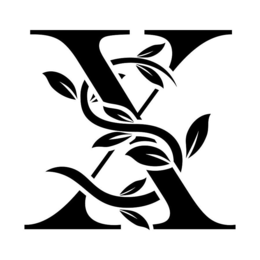 XS trademark