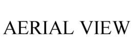 AERIAL VIEW trademark