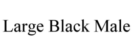 LARGE BLACK MALE trademark