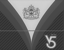 PV V5 VEE FIVE HIGH QUALITY V trademark