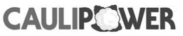CAULIPOWER trademark