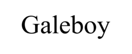 GALEBOY trademark