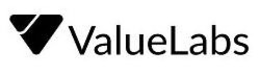 V VALUELABS trademark