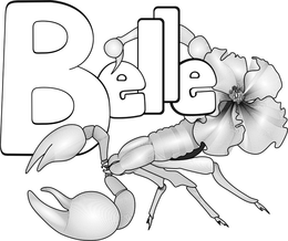 BELLE trademark