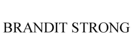 BRANDIT STRONG trademark