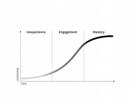 INEXPERIENCE ENGAGEMENT MASTERY LEARNING TIME trademark
