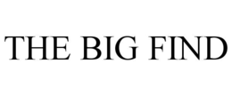 THE BIG FIND trademark