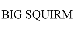 BIG SQUIRM trademark