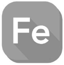 FE trademark