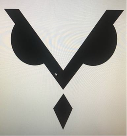 VEER-X trademark