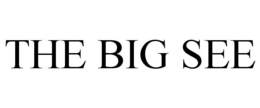 THE BIG SEE trademark