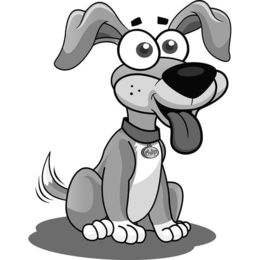 CHIP trademark