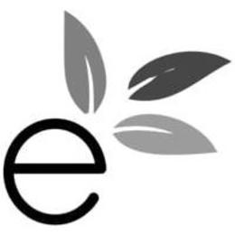 E trademark