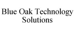 BLUE OAK TECHNOLOGY SOLUTIONS trademark