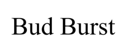 BUD BURST trademark