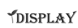 DISPLAY trademark