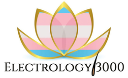 ELECTROLOGY 3000 trademark