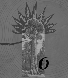 6 trademark