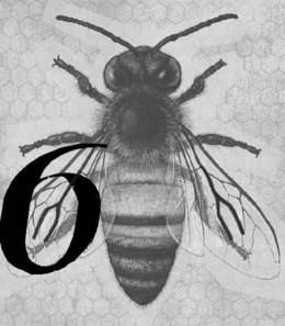 6 trademark