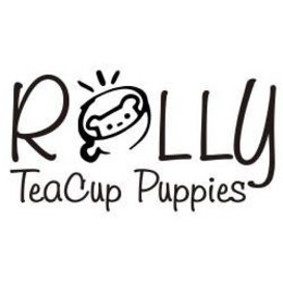 ROLLY TEACUP PUPPIES trademark