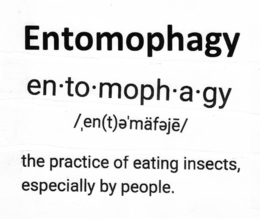 ENTOMOPHAGY EN·TO·MOPH·A·GY / EN(T)E'MÄFEJE/ THE PRACTICE OF EATING INSECTS, ESPECIALLY BY PEOPLE. trademark